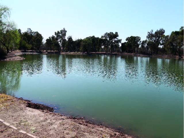  en Mendoza Argentina