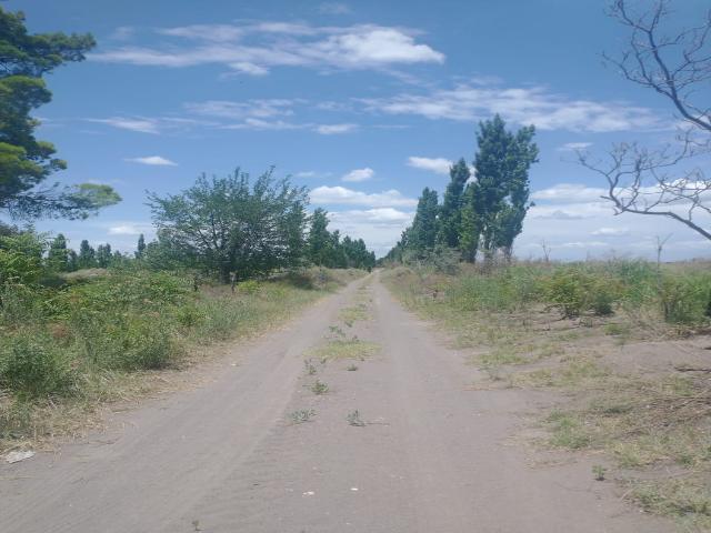 en Mendoza Argentina