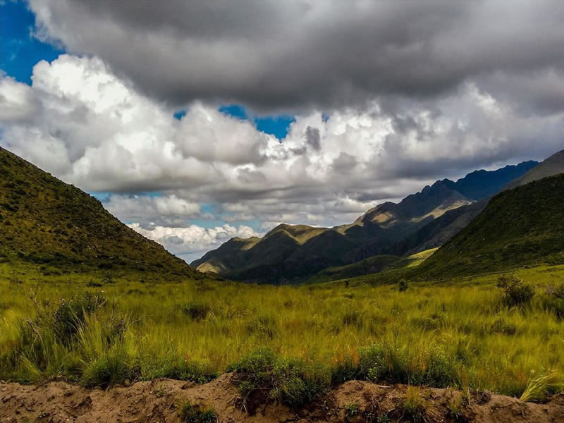 Los Chacayes, Tunuyán. Mendoza, Argentina.