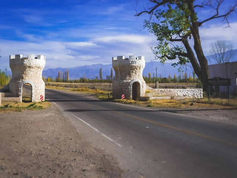 Campo de los Andes, San Carlos. Mendoza, Argentina.