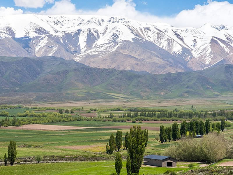 Potrerillos, Luján de Cuyo. Mendoza, Argentina.
