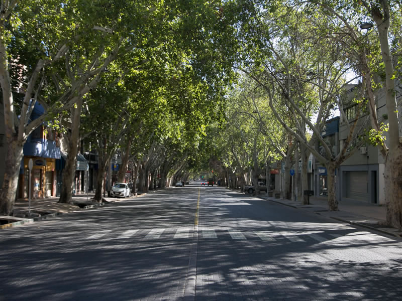 Calle San Martín, Capital. Mendoza, Argentina.