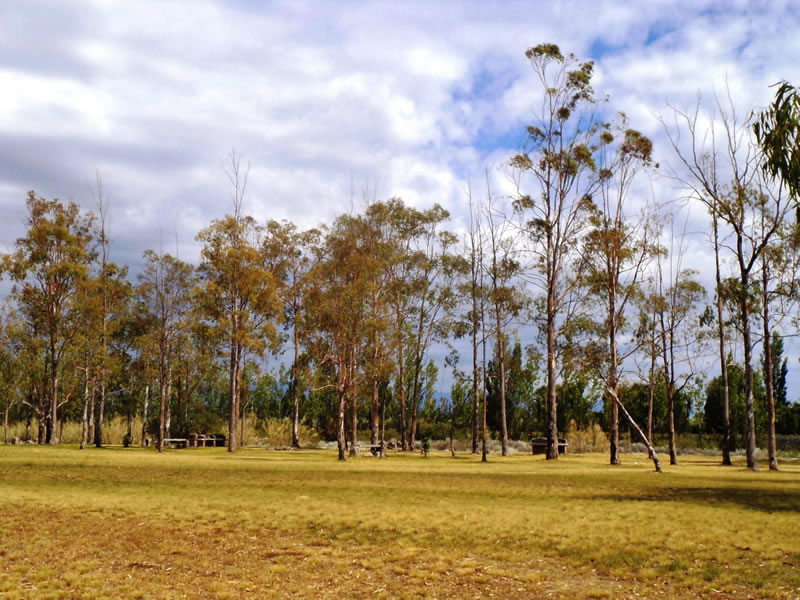 Parque Chachingo, Maipú. Mendoza, Argentina.