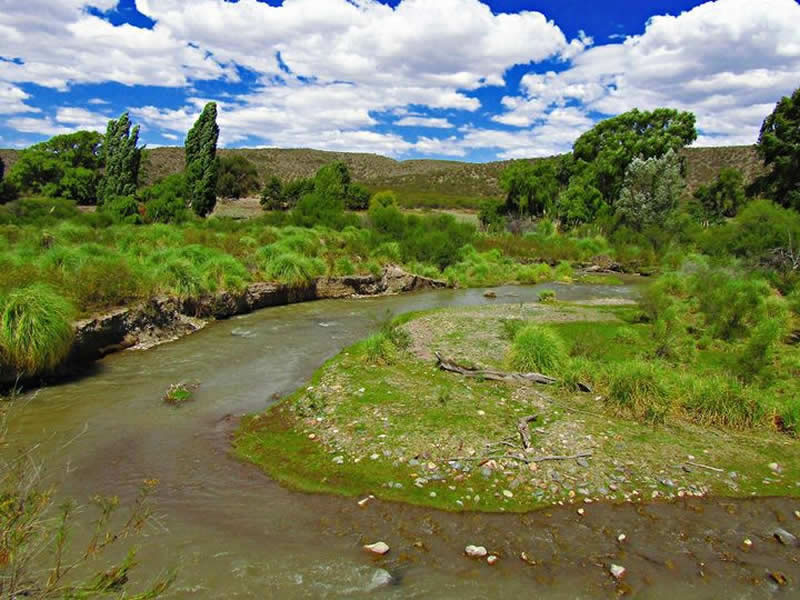Arroyo Papagayos, Pareditas, San Carlos. Mendoza, Argentina.