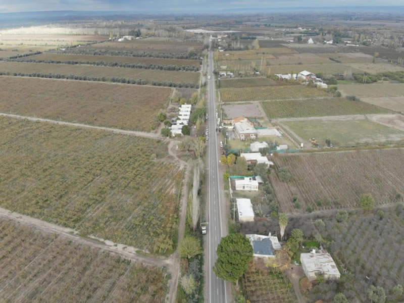 Calle Miguez, Junín. Mendoza, Argentina.