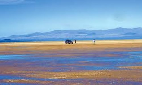 Reserva Natural Las Salinas Mendoza Argentina