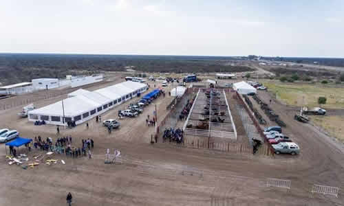Club de Aeromodelismo de La Paz Feria Ganadera La Paz Mendoza Argentina