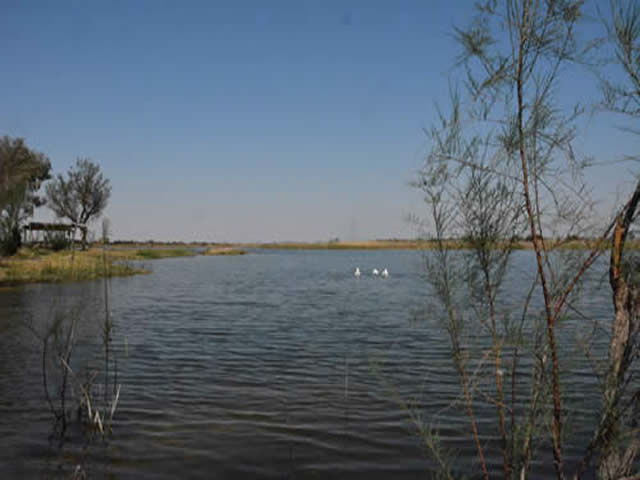 Foto: Municipalidad de Lavalle Laguna de Soria Lavalle Mendoza Argentina
