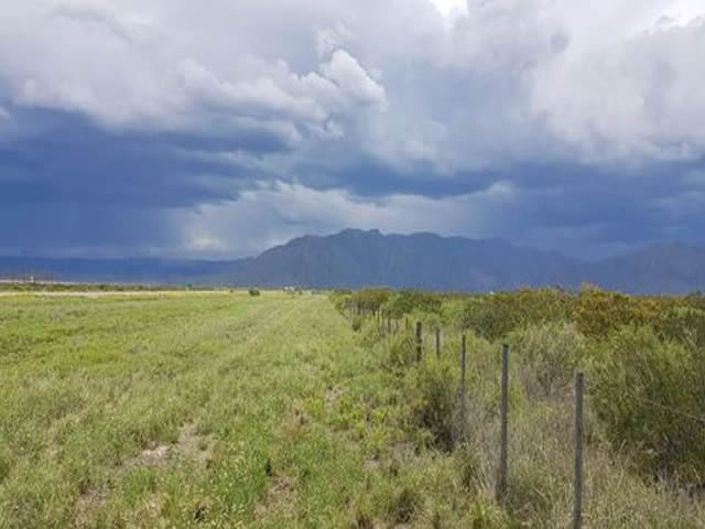 Foto: Diario Los Andes Perdriel Luján de Cuyo Mendoza Argentina