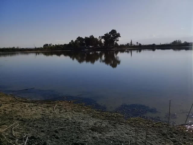 Viapais.com.ar Laguna El Viborón Maipu Mendoza Argentina